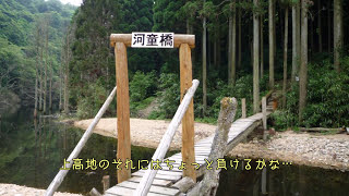 2017.7.17 梅雨空と渓流のみち:布引滝からトゥエンティクロス、ヌケ谷、森林植物園を経て山田道で谷上駅へ