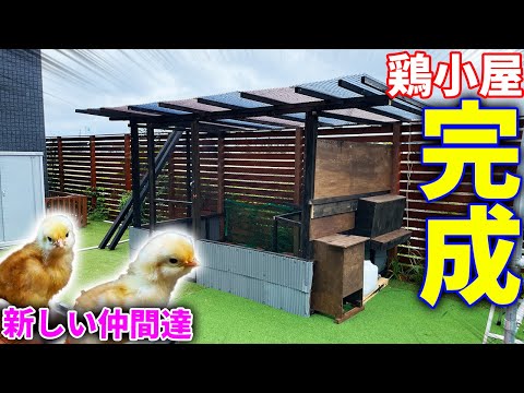 鶏小屋で珪藻土を使用するにはどうすればよいですか?利点と使用方法  庭園