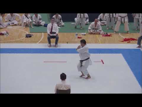 Difference between Jion kata in both Shotokan and Shito-ryu karate