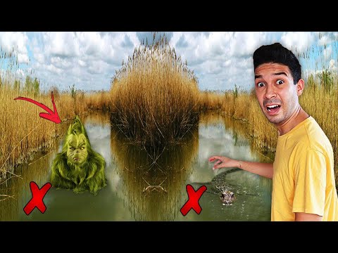 NON SCEGLIERE LA STRADA NELLA PALUDE SBAGLIATA CON IL GRINCH IN AMERICA!