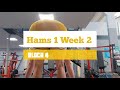 DVTV: Block 4 Hams 1 Wk 2