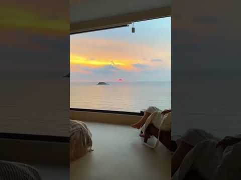 Only peace❤️💕