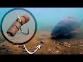 4 Pellet Carp Challenge - Underwater!