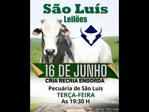 São Luís de Montes Belos - GO   16/06/2026
