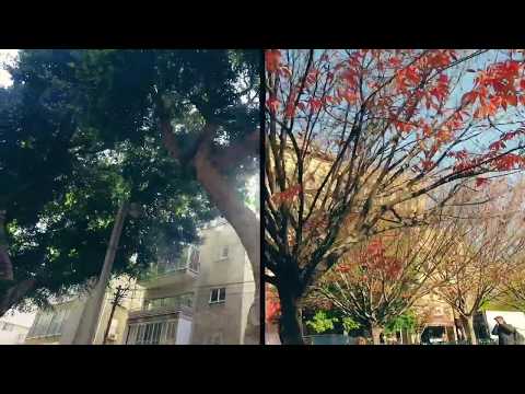 Video thumbnail for Chaver Shel Pa’am - חבר של פעם