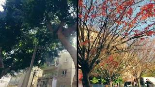 חבר של פעם Rita