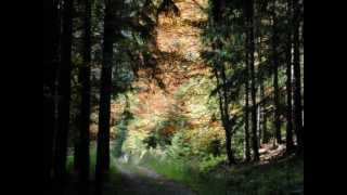 Longing by Guitarist Michael Mucklow