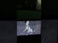 Opening To 101 Dalmatians 1992 VHS Version 1