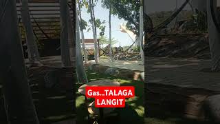 Download lagu TALAGA LANGIT#wisata #fyp mp3 Download lagu TALAGA LANGIT#wisata #fyp mp3