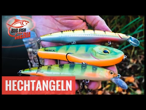 Angeln auf Hecht - Mit Veit Wilde am Vereinsteich