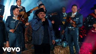 Bohemio De Afición Lyrics  Translation