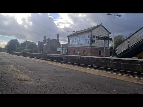 wirral squirrel tour at Helsby