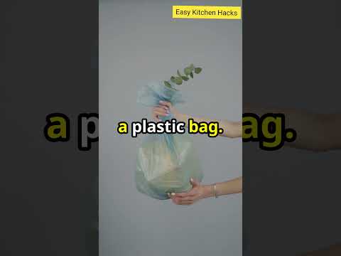 Keep Your Herbs Fresh Longer! 🌿 | Store Fresh Herbs in Water | Herbs #kitchenhacks #easykitchenhacks
