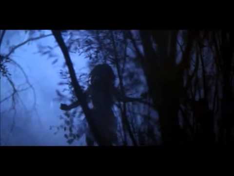 video thumnail