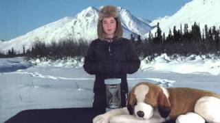 The Call of the Wild Review