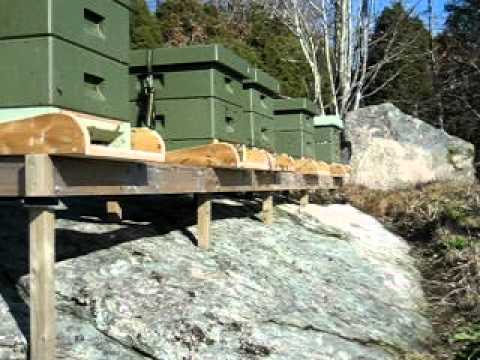 Nya flusterbrädor II.AVI