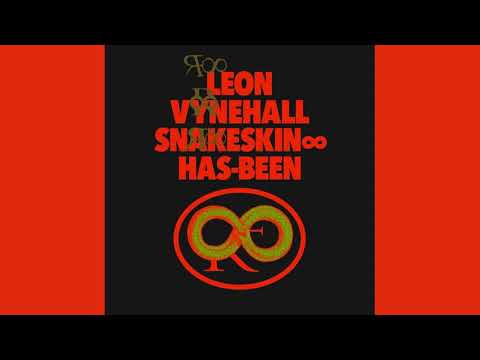 Leon Vynehall - Snakeskin ∞ Has-Been | Rare Forever Album