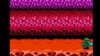 Battletoads NES (USA) - Level 3: Turbo Tunnel