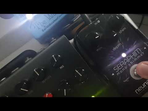 Neunaber Seraphim Mono Shimmer Reverb | Tones
