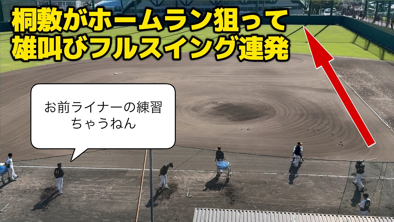 【HRを打つ快感】滅多に打席に立たない桐敷拓馬がホームラン狙って雄叫び上げながらフルスイング連発！【阪神秋季キャンプ】
