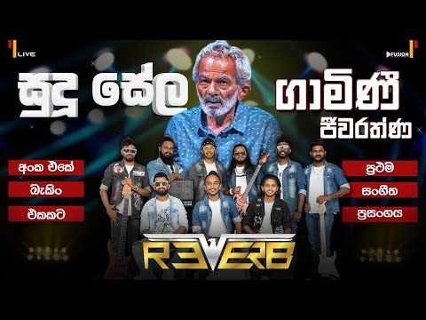 GAMINI JEEWARATHNA(සුදු සේල අගින්) I REVERB NEW MUSICAL SHOW 2025