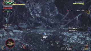 [モンハンワイルズ]英雄の証でカンストできるかな？
