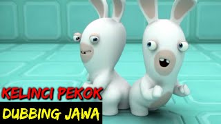 Download lagu DUBBING JAWA RABBIT INVATEL (kelinci pekok) mp3