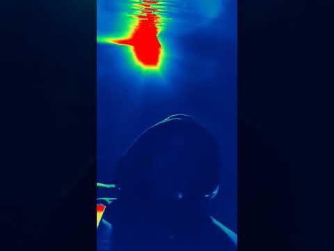 h-killa * c.e.o og @bakekushcreationstv615