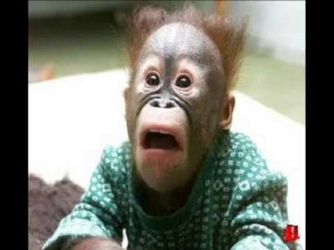 Apresentação Tonho dos Couros do show "Sorria, a Piada tem Filosofia"