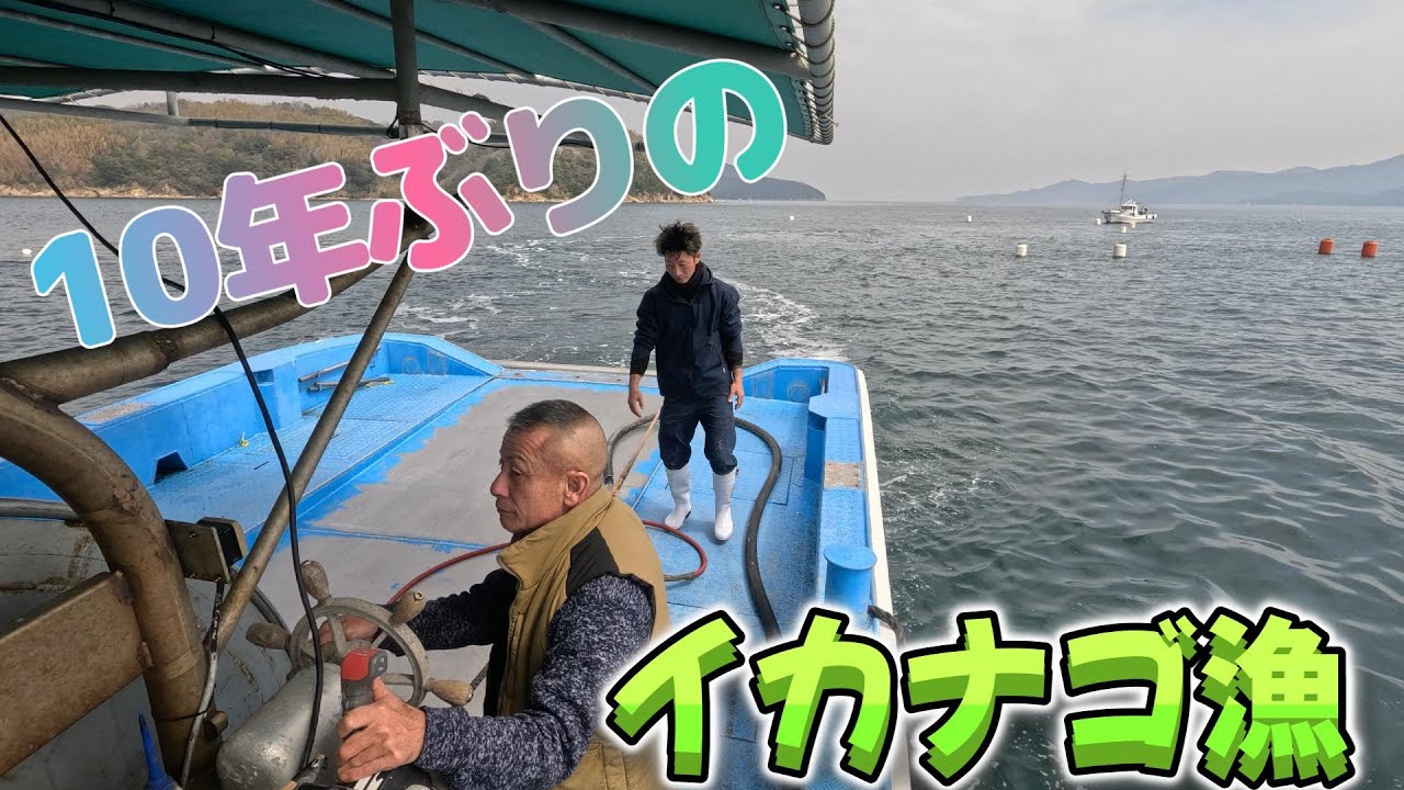 【10年ぶりのイカナゴ漁】幻と言われるほどとれなくなつたイカナゴ漁に行ってみた！