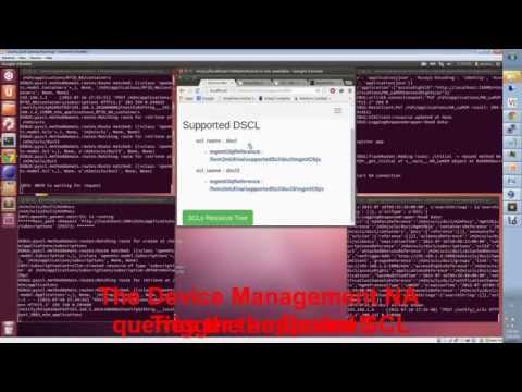 Incorporation OMA Lightweight M2M in ETSI IoT/M2M Standard Platform