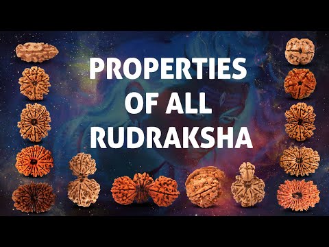 Properties of 1-21 mukhi, Gaurishankar, Trijuti, Garb Gauri Rudraksha | Benefits of Rudraksha beads