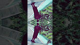 No Shade - Kaos Lucky