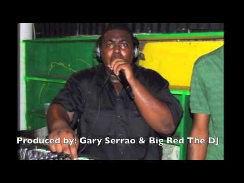 CROP OVER 2014: Level Vibes - Lewwe Ball Up (Tamarind) STRAIGHT PULL RIDDIM