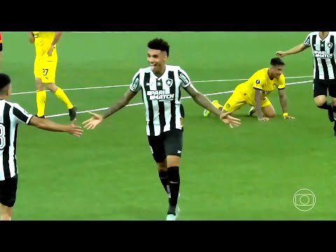 3O Minutos do Melhor Futebol do Brasil - Botafogo 2024 !