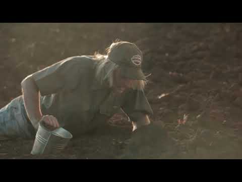 Suid Afrika - Armand Hofmeyr