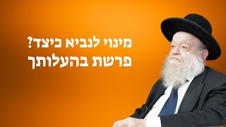 פרשת בהעלותך - מינוי לנביא כיצד? | הרב יוסף צ. בן פורת - תשפ"ד