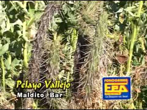 05. Maldito Bar - Pelayo Vallejo - Oyon