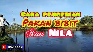 Download lagu Cara Pemberian Pakan Bibit Ikan Nila yang baik mp3 Download lagu Cara Pemberian Pakan Bibit Ikan Nila yang baik mp3
