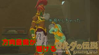 【実況】方向音痴が駆ける【ゼルダの伝説ブレスオブザワイルド】53