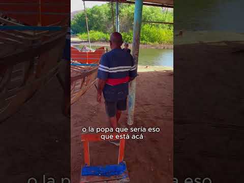 Pedro “Barba” en Mochima, Sucre, Carpintero de Ribera #mochima #carpintero