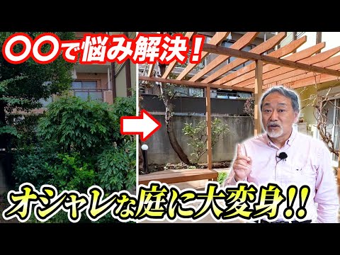 パーゴラに適したつる性の植物はどれですか?高く成長する美しい花を咲かせる7つの品種  庭園