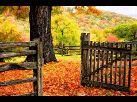 Јелена Дејановић - Банаћанско коло