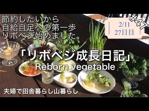 , title : '【田舎暮らし】#47「リボベジ成長日記」いつか自給自足を目指して田舎で節約生活中。'