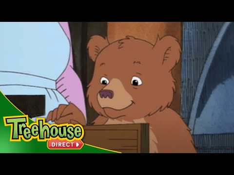 Little Bear | Special Fall Episode | TREEHOUSE DIRECT