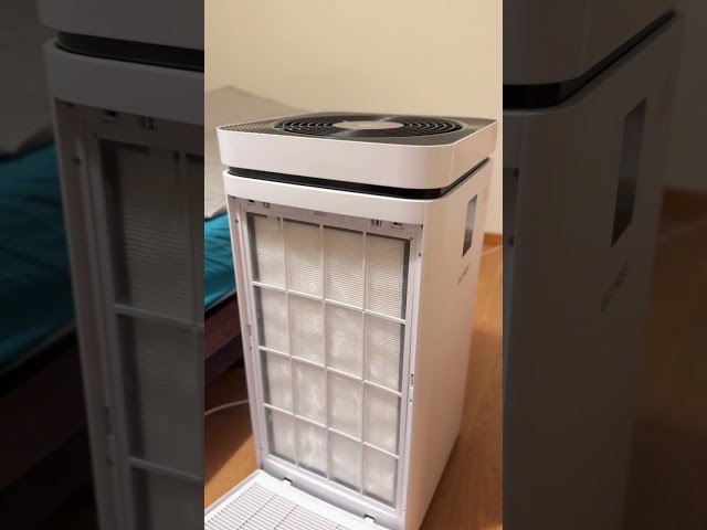 Video teaser for ecofort ecoQ CleanAir 800 Review Test gegen Pollen Staub besserer Schlaf für dich André