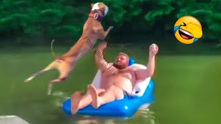 Best Funny Animal Videos 2022 and 2021 ? - Funniest Dogs And Cats Videos ?
