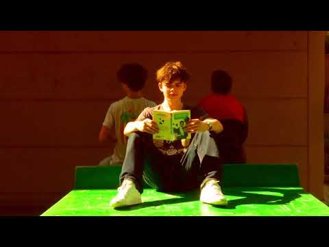 Le Suédois - Vol international