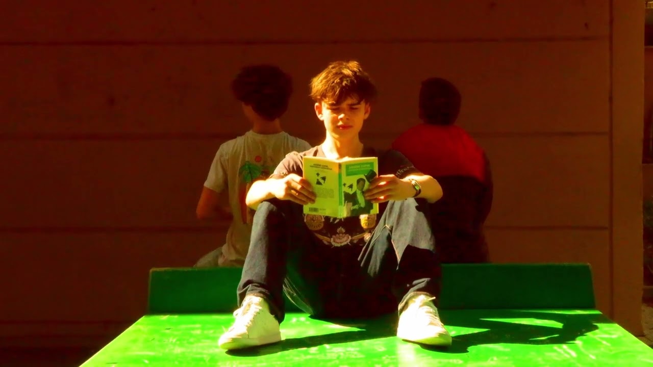 Le Suédois - Vol international