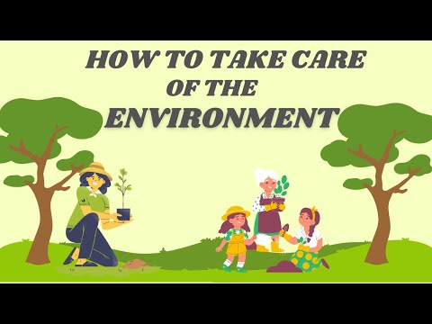 How to Take Care of The Environment | English Learning Podcast | Beginners.
